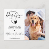 モダン写真おもしろいPET結婚の犬婚約 案内ポストカード (正面)