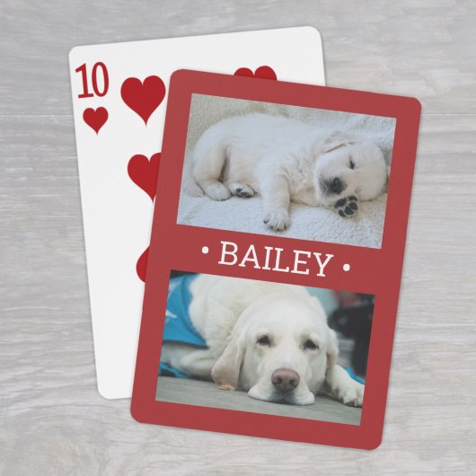 モダン写真犬2頭または任意の名前赤と白 トランプ