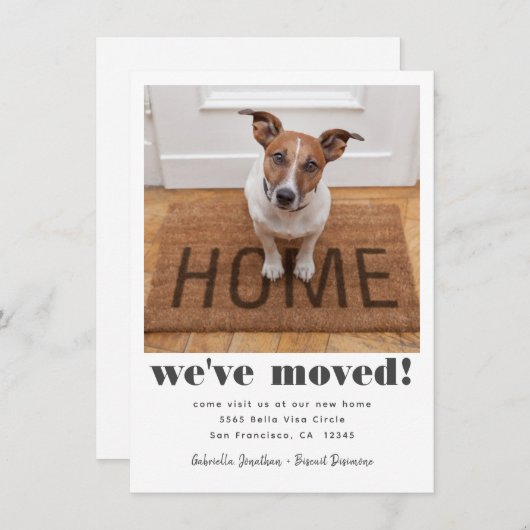 モダン引っ越しましたペットの写真の移動 案内状 (正面/裏面)