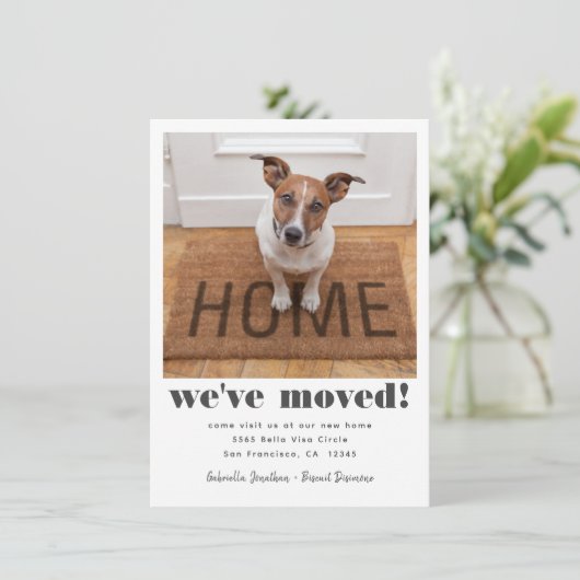 モダン引っ越しましたペットの写真の移動 案内状 (スタンド正面)