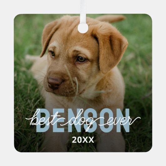モダン最高の犬のペット写真 メタルオーナメント (正面)