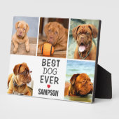 モダン最高の犬Ever Photo Collage |ペット フォトプラーク (側面)