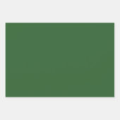 モダン森の緑の平無地の色 ラッピングペーパーシート (正面)