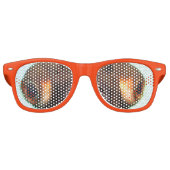 モダン熱狂するクール金魚の目 レトロサングラス (正面)