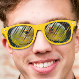 モダン熱狂するクール金魚の目 レトロサングラス