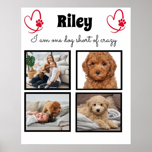 モダン犬4枚の写真 – パーソナライズされた collage ポスター (正面)