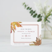 モダン秋エレガント紅葉保存日 (スタンド正面)