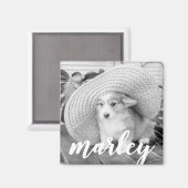 モダン素朴シンプルカスタムPet写真 マグネット (正面/裏面)