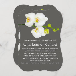 モダン結婚フローラ |白い蘭の花 招待状