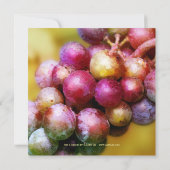 モダン芸術的金ゴールドワイン試飲招待状 招待状 (裏面)