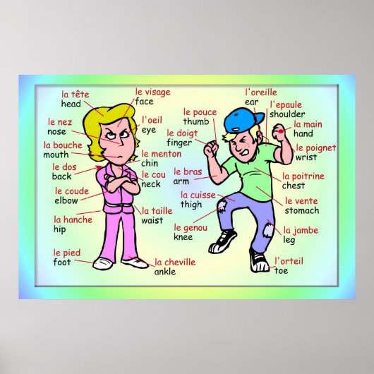 モダン語、フランスの体の一部 ポスター (正面)