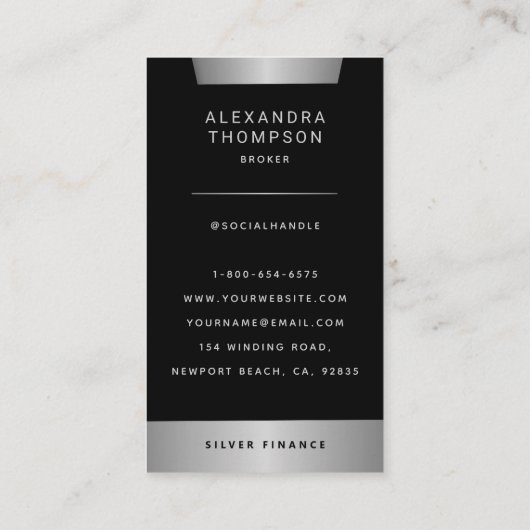 モダン銀エレガントストライププロフェッショナル写真 名刺 (裏面)