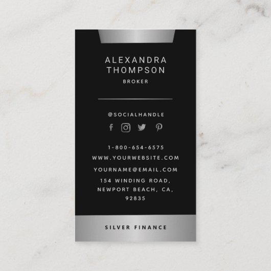 モダン銀エレガントストライププロフェッショナル写真 名刺 (裏面)