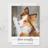 モダン かわいい 個性的な 面白い ペットの写真 シーズンカード (正面)