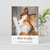 モダン かわいい 個性的な 面白い ペットの写真 シーズンカード (スタンド正面)