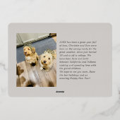 モダン カラー ブロック アースィー フォト ホリゾンタル ゴールド 箔シーズンカード (裏面)