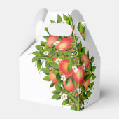 モダン ピーチ フルーツ | ウェディング フェイバーボックス (裏面サイド)