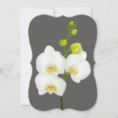 モダン フローラル ウェディング | 白いオーキッドの花 招待状 (裏面)