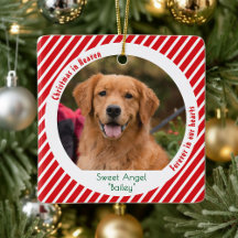 モダン ペット メモリアル 記念 犬 写真 クリスマス
