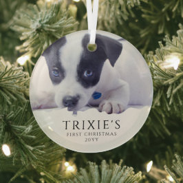 モダン ミニマリスト 犬の初めてのクリスマス フォト ガラスオーナメント