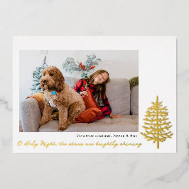 モダン ミニマル 宗教的 クリスマス ホイル 写真 箔シーズンカード