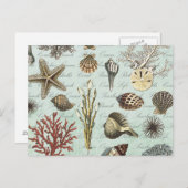 モダン ヴィンテージ シェル ポストカード (正面/裏面)