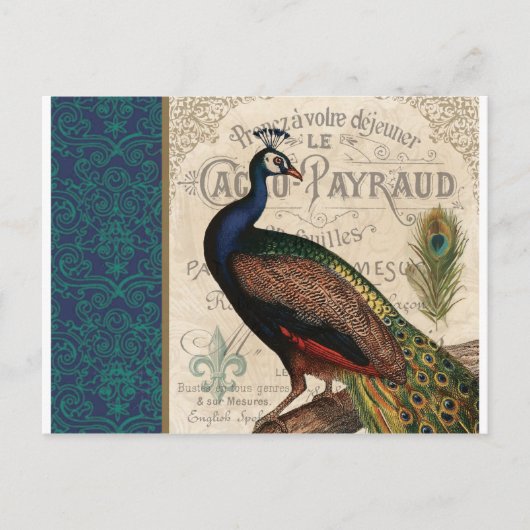 モダン ヴィンテージ フレンチ ペコック ポストカード (正面)
