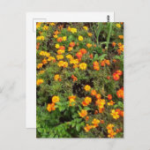 モダン ヴィンテージ ボタニカル ガーデン ポストカード (正面/裏面)