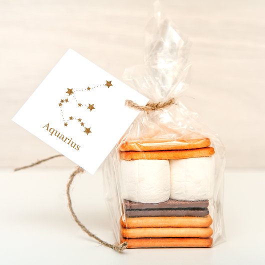 モダン〔占星術の〕十二宮図標識金ゴールドアクエリアス |エアエレメント フェイバータグ