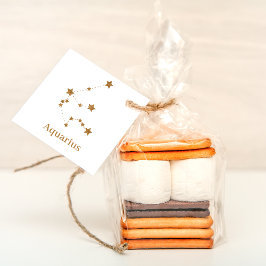 モダン〔占星術の〕十二宮図標識金ゴールドアクエリアス |エアエレメント フェイバータグ