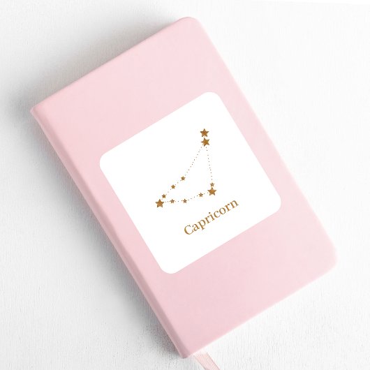 モダン〔占星術の〕十二宮図標識金ゴールド山羊座 |要素地球 スクエアシール