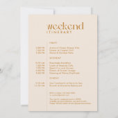 モダン「最後のミニマルFling」バチェロレッテ写真 招待状 (裏面)