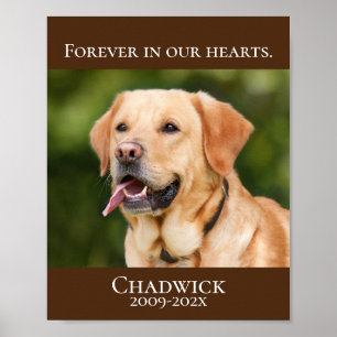 モダンBrown Add Photo Pet Memorial ポスター