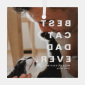 モダンCAT最高のパパEVERカスタム写真 ガラスオーナメント (裏面)