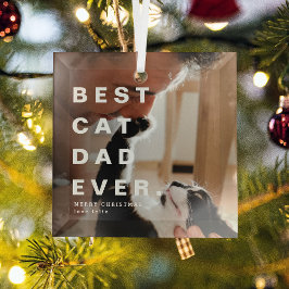 モダンCAT最高のパパEVERカスタム写真 ガラスオーナメント