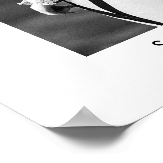 モダンScript結婚の写真の歓迎サイン ポスター (角)