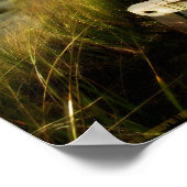 モチベーションの確認「美しいが見える」 ポスター (角)