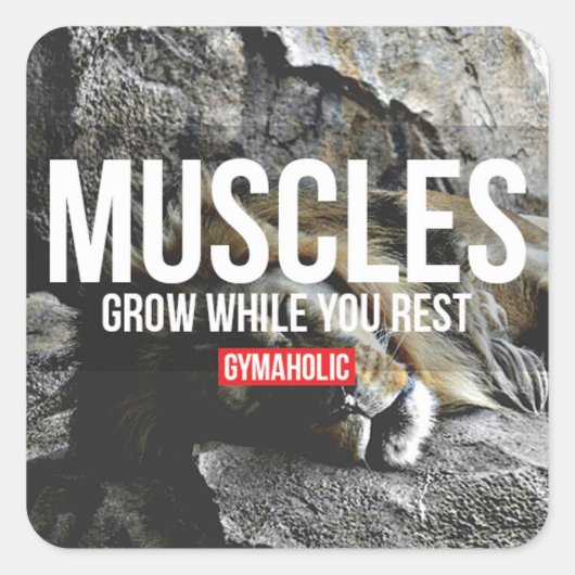 モチベーションフィットネスジム スクエアシール (正面)