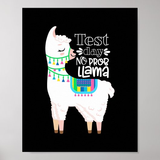 モチベーション州テスト日先生No Prob ポスター (正面)