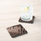 モチャムース植物株 コースター (右側)