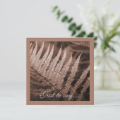 モチャムース植物株 サンキューカード (スタンド正面)