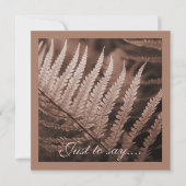 モチャムース植物株 サンキューカード (正面)