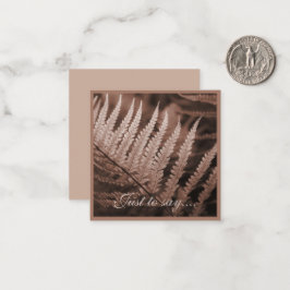 モチャムース植物株 ノートカード