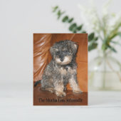 モチャリサシュヌードル ポストカード (スタンド正面)