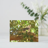 モッキングバード ポストカード (スタンド正面)