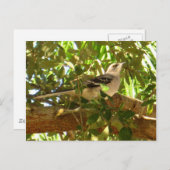 モッキングバード ポストカード (正面/裏面)