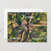 モッキンバドリ ポストカード (正面/裏面)