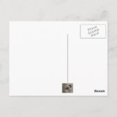 モッキンバドリ ポストカード (裏面)