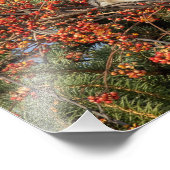 モッキンバードとバージニア州クリーパー フォトプリント            (角)