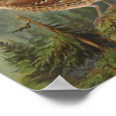 モッキンバードとブラウンスラッシャー ポスター (角)